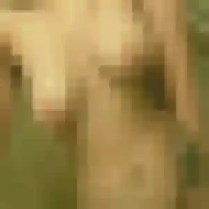 Maeva de Condat-sur-Vienne, 36 ans - plan cul sans prise de tête