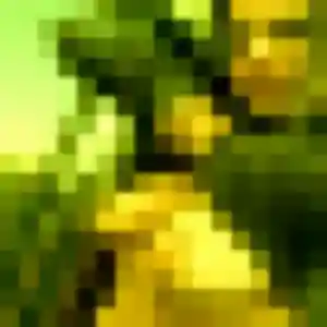 Rencontre Melanie, 19 ans à Condat-sur-Vienne gratuitement