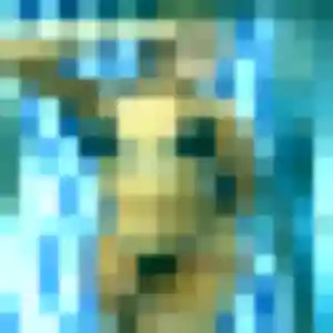 plan cul à Condé-en-Normandie : profil de Sara, 36 ans - inscription gratuite