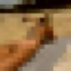 Contacte Isabelle, 44 ans à Condé-sur-l'Escaut en t'inscrivant