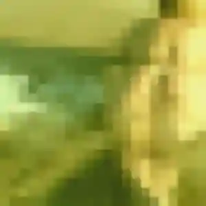 Diane, 35 ans, dispo pour plan cul à Conflans-Sainte-Honorine