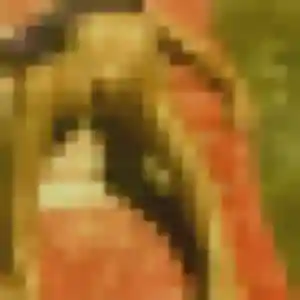 Rania (45 ans) à Coublevie attend une rencontre maintenant