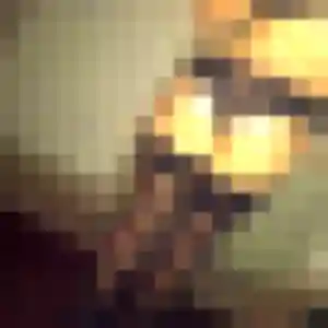 Découvre Camille, 31 ans à Couëron en privé