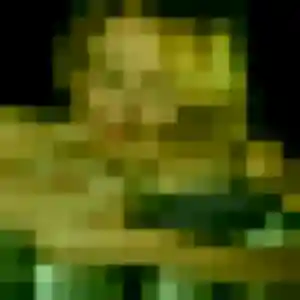 Aisha, 37 ans, en ligne à Courrières pour une rencontre coquine