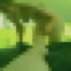 Rania (33 ans) à Courthézon cherche une rencontre aujourd'hui