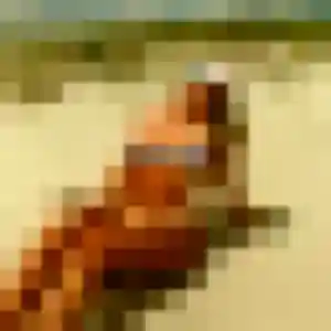 Meriem de Coutras, 34 ans - plan cul sans lendemain