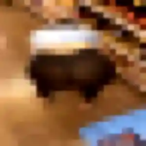 Profil de Fleur à Croix (32 ans) - plan cul gratuit