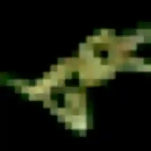 Photo perso de Ursule, 19 ans à Croix - rencontre coquine