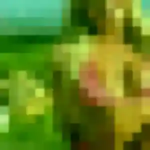 Phoebe, 37 ans, en ligne à Cucq pour une rencontre coquine