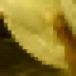 Photo exclusive de Yasmine, 35 ans à Cuges-les-Pins - plan discret