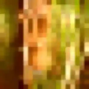 Lisette, femme de 23 ans cherche plan cul à Cuincy