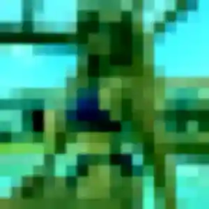 Caroline, femme de 42 ans veut plan cul à Dammarie-les-Lys