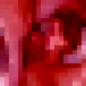 Profil de Gladys à Dammarie-les-Lys (24 ans) - plan cul gratuit