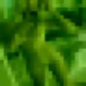 Gabrielle (34 ans) à Dinan cherche un plan cul maintenant