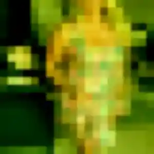 Elodie, 25 ans, en ligne à Dinard pour une rencontre coquine