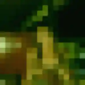 Jolie Josiane, 29 ans à Divatte-sur-Loire - la contacter