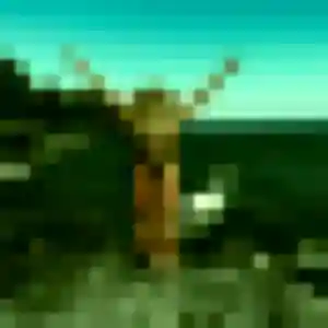 Johanna, femme de 40 ans propose plan cul à Dole