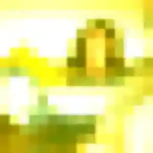 Lucie, 37 ans, dispo pour plan cul à Dombasle-sur-Meurthe