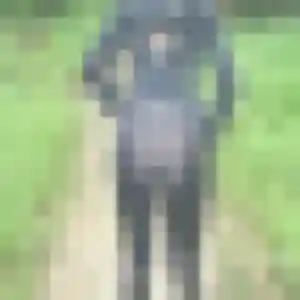 Xaviere, 38 ans, dispo pour plan cul à Domont