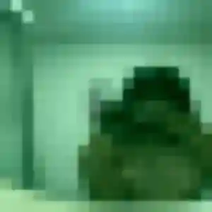 Lise, 31 ans, dispo pour plan cul à Dompierre-sur-Mer