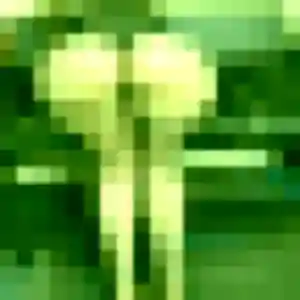 Charmante Constance, 26 ans à Douai - découvrir son profil