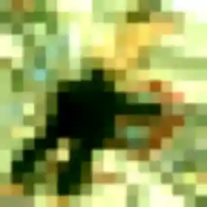 Photo privée de Anne-Laure, 19 ans à Doullens - rencontre sans lendemain