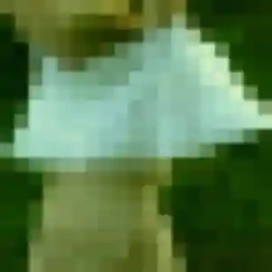 Rencontre Nicole, 39 ans à Douvres-la-Délivrande en t'inscrivant