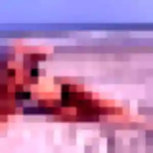 Photo sexy de Pauline, 32 ans à Douvres-la-Délivrande - rencontre sans lendemain