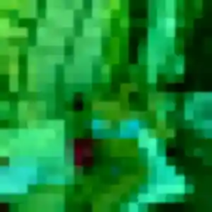 Verane, 22 ans, connectée à Drusenheim pour une rencontre coquine