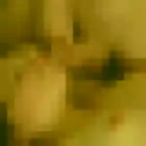 Photo de Madeleine à Dzaoudzi (43 ans) - plan cul discret