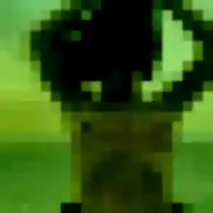 Rejoins Lea, 34 ans à Émerainville en t'inscrivant