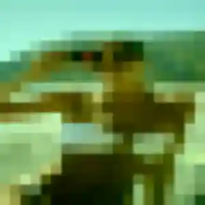 Chloe (26 ans) à Entraigues-sur-la-Sorgue attend une rencontre ce soir