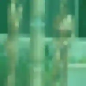 Rachel de Épinal, 41 ans - plan cul discret