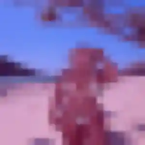 Zina (39 ans) à Erdre-en-Anjou propose un plan cul aujourd'hui