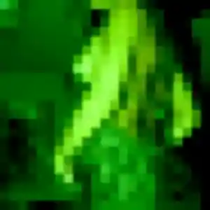 Contacte Suzanne, 30 ans à Ernée en t'inscrivant