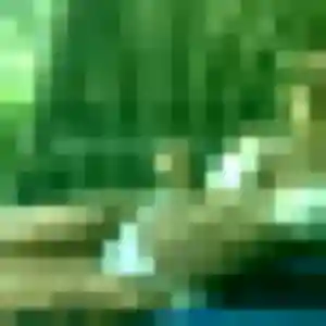 Celine de Erquinghem-Lys, 22 ans - plan cul sans prise de tête