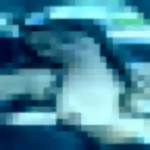 Odile, 35 ans, connectée à Esbly pour un plan cul