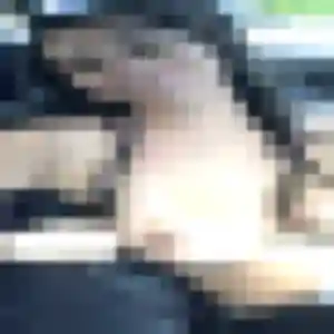 Julie, fille de 30 ans veut plan cul à Eschau