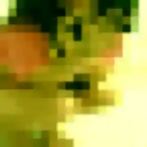 Profil de Nina à Essarts-en-Bocage (31 ans) - plan cul sans inscription