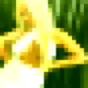 Lilou, 34 ans, dispo pour plan cul à Évron