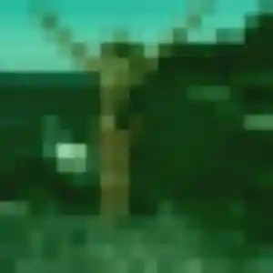 Photo privée de Olga, 36 ans à Évron - plan discret