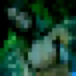 Jolie Ketty, 42 ans à Faches-Thumesnil - la contacter