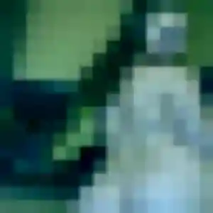 Elena, femme de 23 ans propose plan cul à Falaise