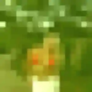 Photo sexy de Marie-Line, 30 ans à Fayence - rencontre sans lendemain