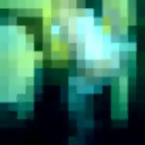 Belle Tamara, 40 ans à Fécamp - voir sa photo