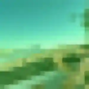 Rencontre Capucine, 19 ans à Feytiat gratuitement