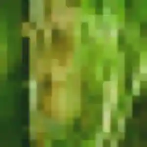 Louisa, 24 ans, connectée à Figeac pour un plan cul