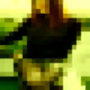 Jessica (41 ans) à Fleury-les-Aubrais attend une rencontre rapidement