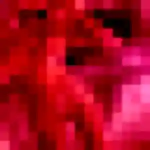 plan cul à Flines-lez-Raches : photo de Charlotte, 36 ans - inscription gratuite