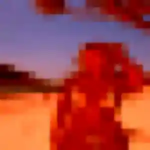 Blanche, 30 ans, dispo pour plan cul à Fonsorbes